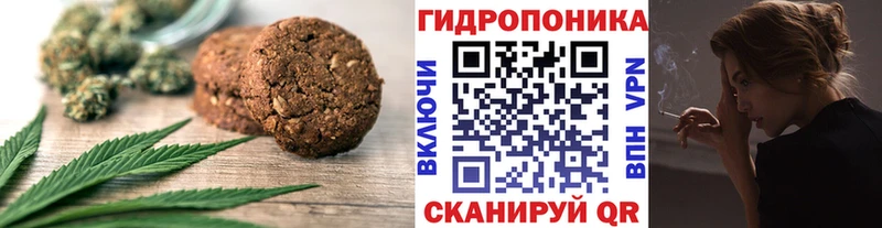 где продают наркотики  Болгар  hydra ссылка  Canna-Cookies конопля 