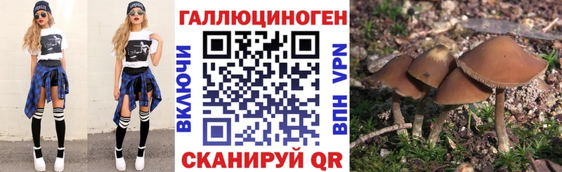 Псилоцибиновые грибы GOLDEN TEACHER  kraken онион  Болгар 